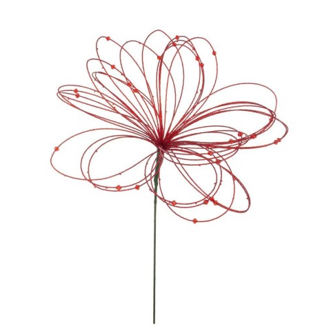 RAMO TOBYA ROSSO H.53